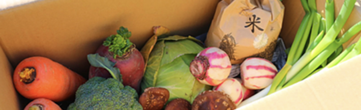 大山野菜BOX